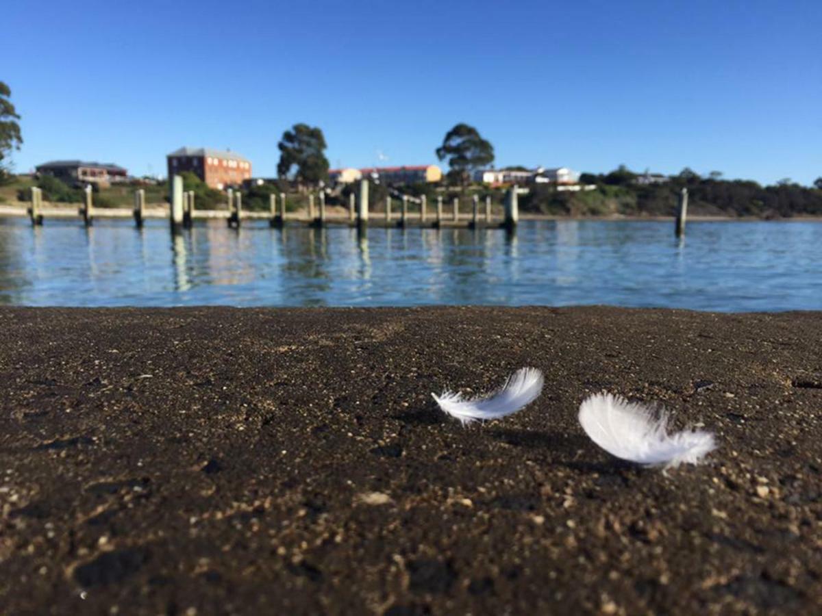 Swansea Holiday Park Tasmania Bagian luar foto