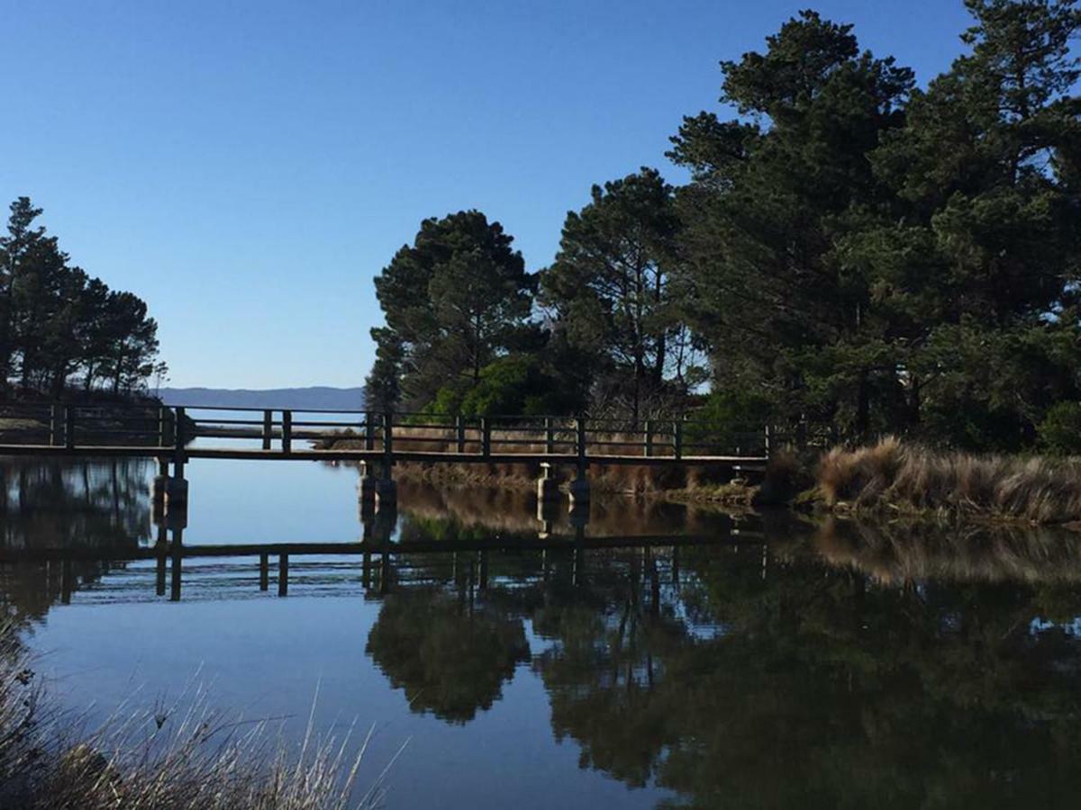 Swansea Holiday Park Tasmania Bagian luar foto